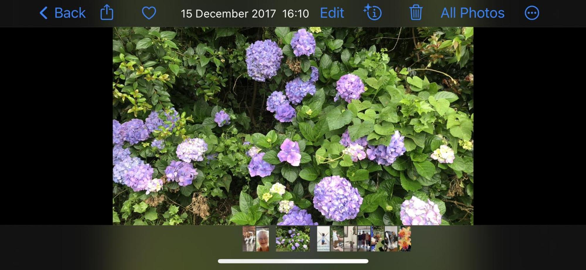 Le Residence De Josephine Kloof Luaran gambar
