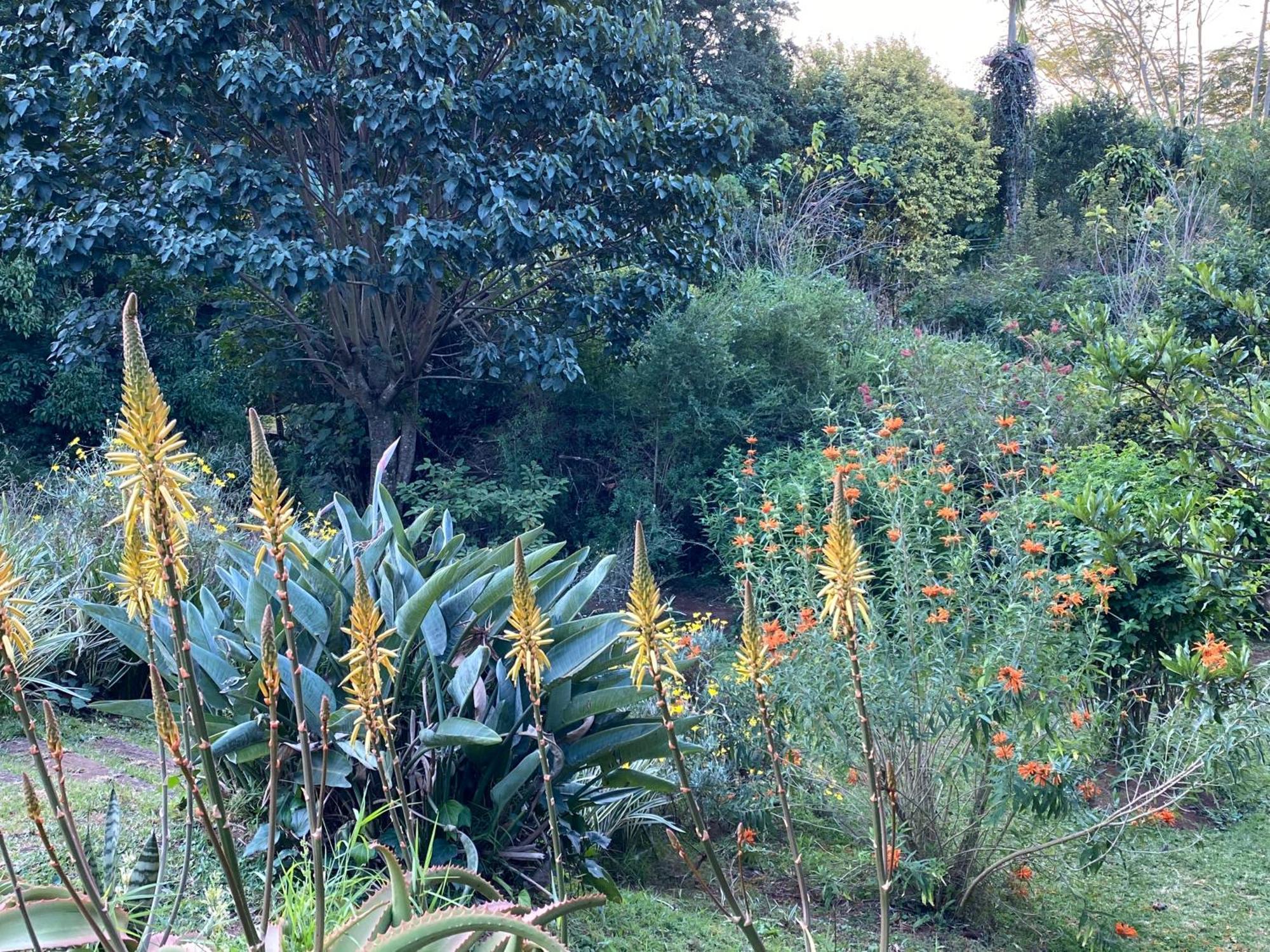 Le Residence De Josephine Kloof Luaran gambar