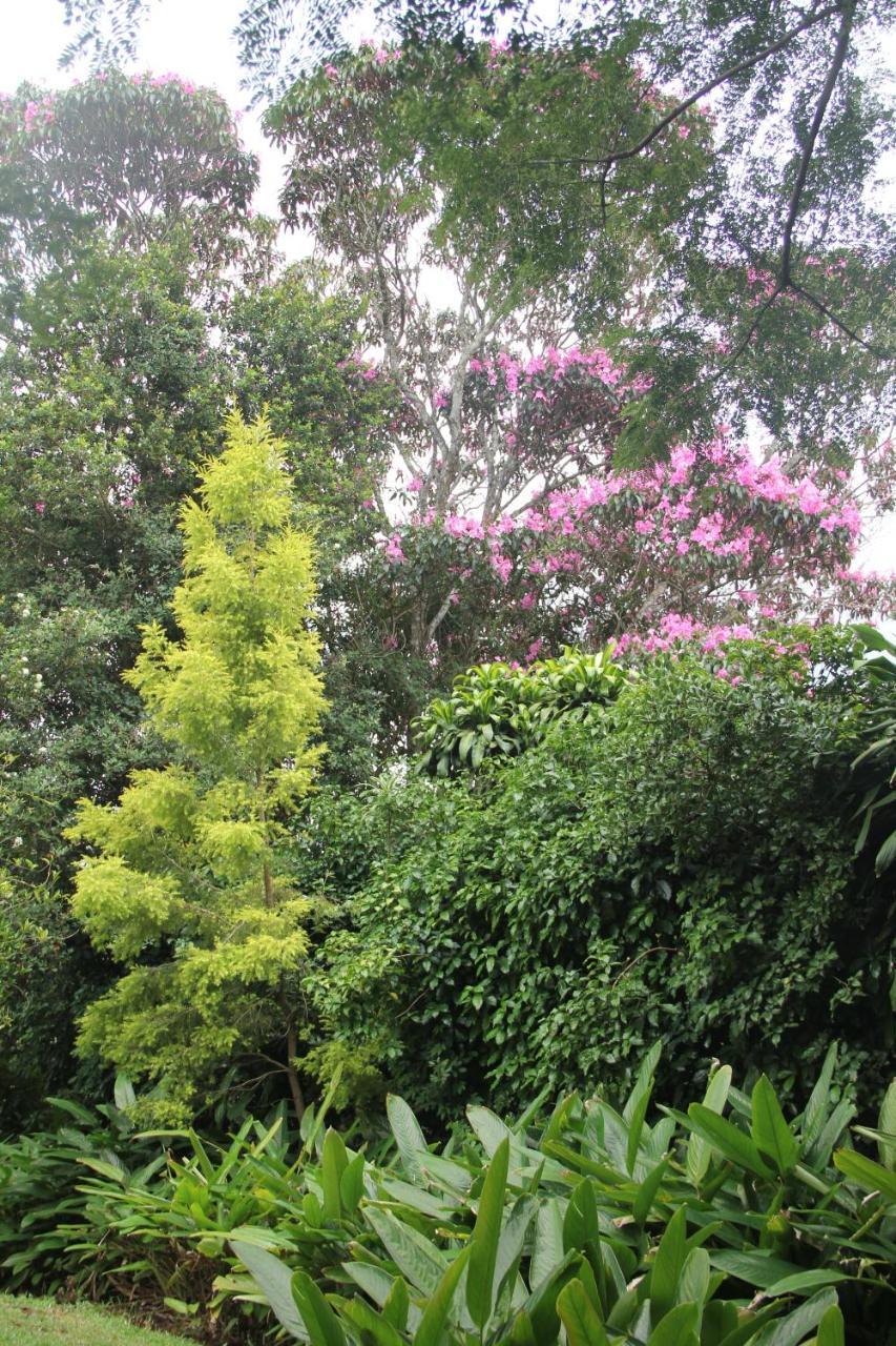 Le Residence De Josephine Kloof Luaran gambar