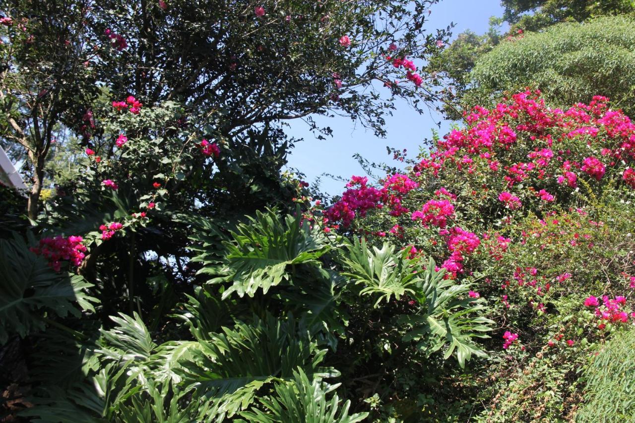 Le Residence De Josephine Kloof Luaran gambar